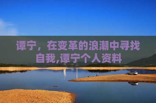 谭宁，在变革的浪潮中寻找自我,谭宁个人资料