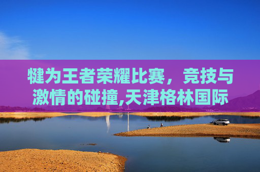犍为王者荣耀比赛，竞技与激情的碰撞,天津格林国际幼儿园学费