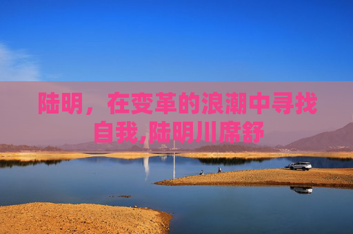 陆明，在变革的浪潮中寻找自我,陆明川席舒