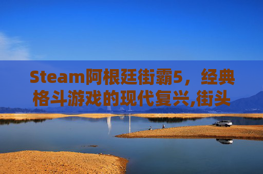 Steam阿根廷街霸5，经典格斗游戏的现代复兴,街头霸王阿多根
