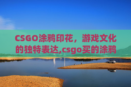 CSGO涂鸦印花，游戏文化的独特表达,csgo买的涂鸦是无限的吗