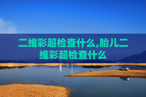 二维彩超检查什么,胎儿二维彩超检查什么