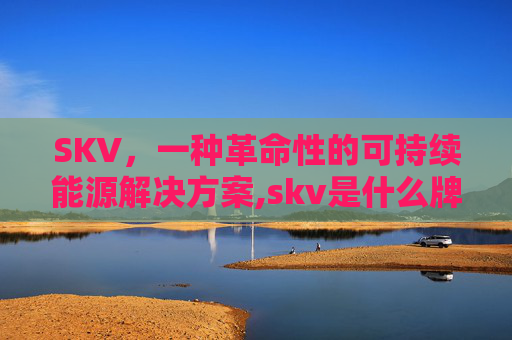 SKV，一种革命性的可持续能源解决方案,skv是什么牌子