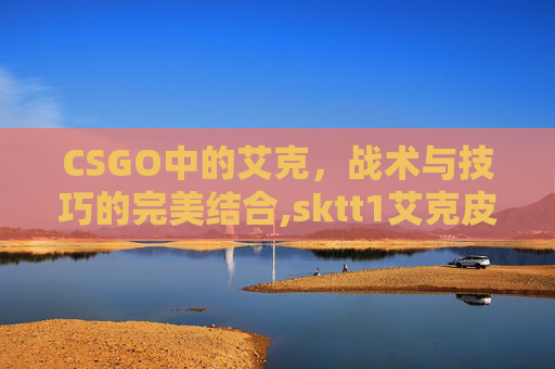 CSGO中的艾克，战术与技巧的完美结合,sktt1艾克皮肤怎么样