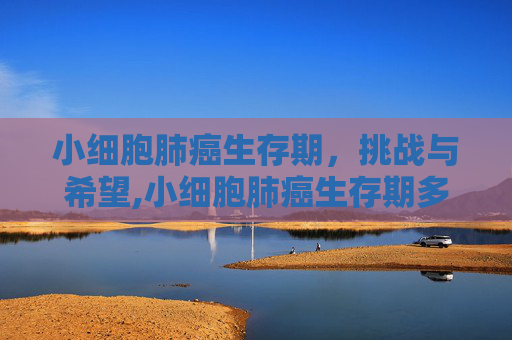 小细胞肺癌生存期，挑战与希望,小细胞肺癌生存期多久