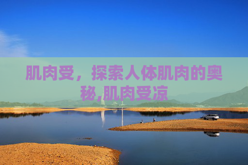 肌肉受，探索人体肌肉的奥秘,肌肉受凉