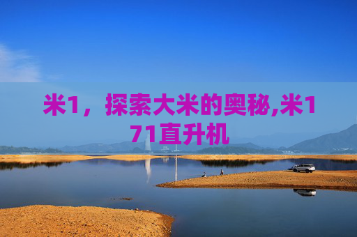 米1，探索大米的奥秘,米171直升机