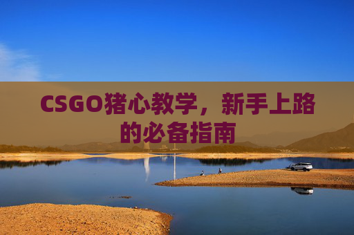 CSGO猪心教学，新手上路的必备指南