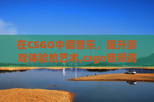 在CSGO中调音乐，提升游戏体验的艺术,csgo音频调节最佳效果