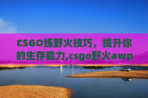 CSGO练野火技巧，提升你的生存能力,csgo野火awp