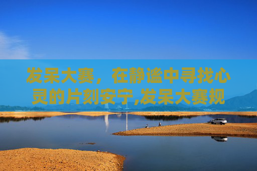 发呆大赛，在静谧中寻找心灵的片刻安宁,发呆大赛规则