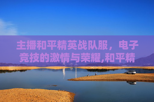 主播和平精英战队服，电子竞技的激情与荣耀,和平精英战队队服