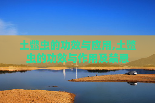 土鳖虫的功效与应用,土鳖虫的功效与作用及禁忌