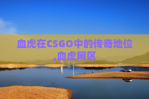 血虎在CSGO中的传奇地位,血虎网区
