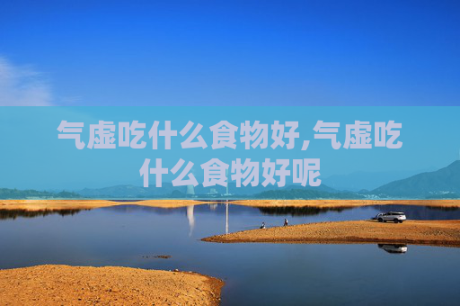 气虚吃什么食物好,气虚吃什么食物好呢