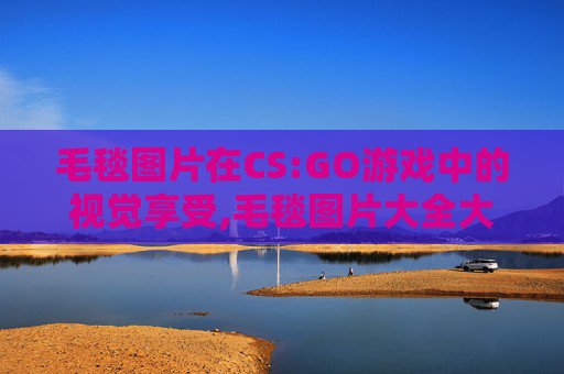 毛毯图片在CS:GO游戏中的视觉享受,毛毯图片大全大图