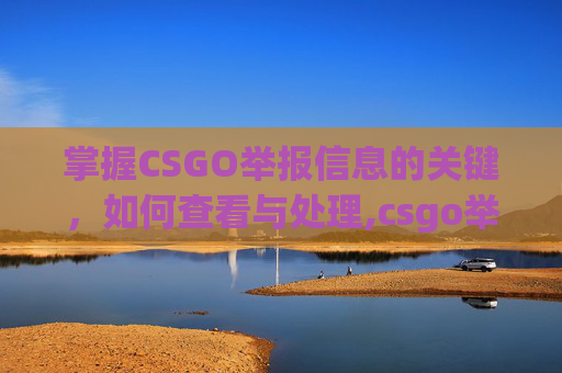 掌握CSGO举报信息的关键，如何查看与处理,csgo举报信息怎么看不到