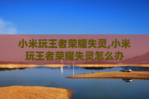 小米玩王者荣耀失灵,小米玩王者荣耀失灵怎么办