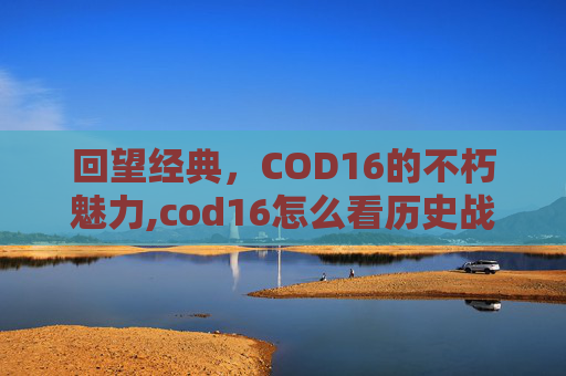 回望经典，COD16的不朽魅力,cod16怎么看历史战绩