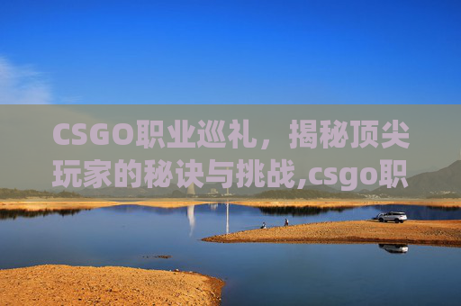 CSGO职业巡礼，揭秘顶尖玩家的秘诀与挑战,csgo职业赛
