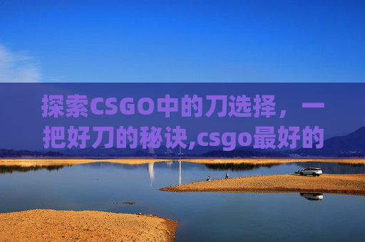 探索CSGO中的刀选择，一把好刀的秘诀,csgo最好的刀