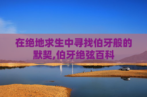 在绝地求生中寻找伯牙般的默契,伯牙绝弦百科