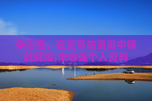 朱志强，在变革的浪潮中铸就辉煌,朱志强个人资料