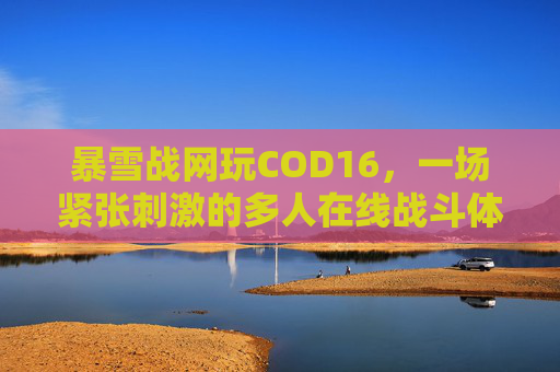 暴雪战网玩COD16，一场紧张刺激的多人在线战斗体验,暴雪战网玩游戏需要电话号码验证