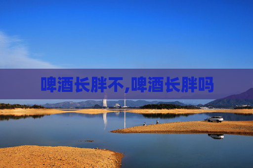 啤酒长胖不,啤酒长胖吗
