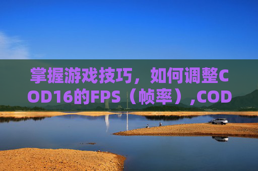 掌握游戏技巧，如何调整COD16的FPS（帧率）,COD16怎么调整FOV
