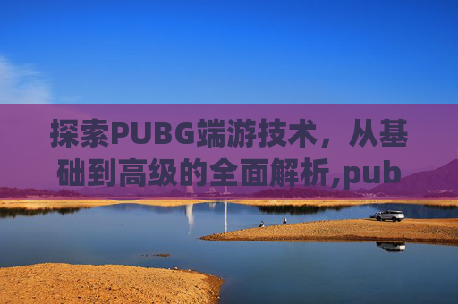 探索PUBG端游技术，从基础到高级的全面解析,pubg技术评分