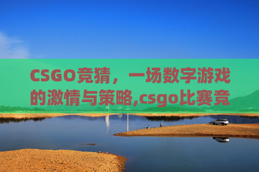 CSGO竞猜，一场数字游戏的激情与策略,csgo比赛竞猜平台