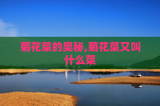 菊花菜的奥秘,菊花菜又叫什么菜