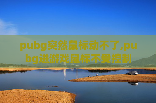 pubg突然鼠标动不了,pubg进游戏鼠标不受控制