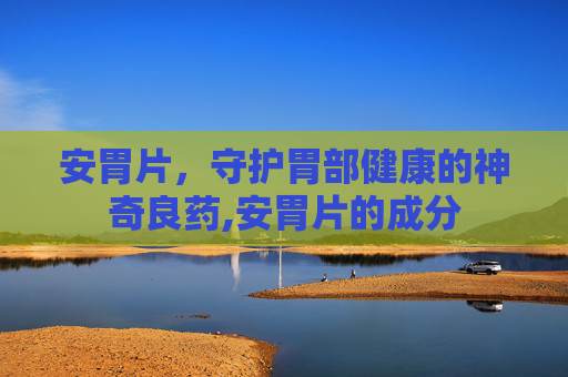 安胃片，守护胃部健康的神奇良药,安胃片的成分