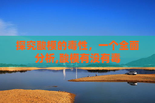 探究酸模的毒性，一个全面分析,酸模有没有毒