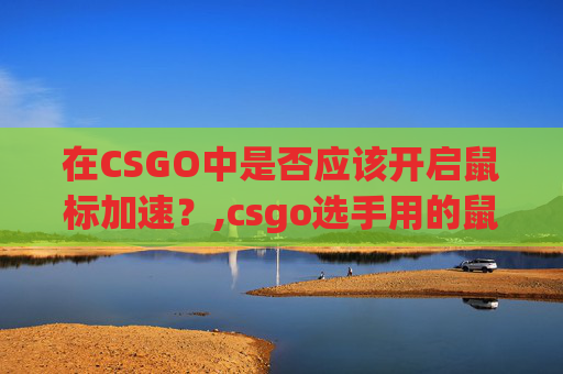 在CSGO中是否应该开启鼠标加速？,csgo选手用的鼠标