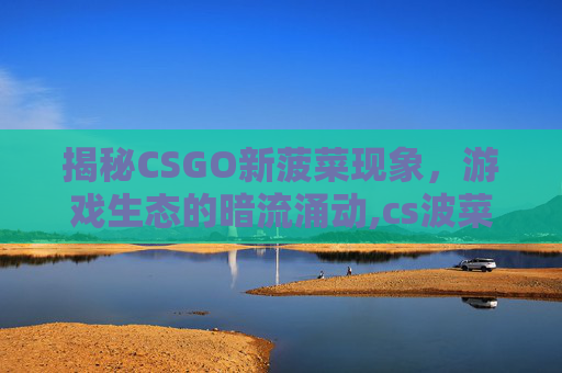 揭秘CSGO新菠菜现象，游戏生态的暗流涌动,cs波菜