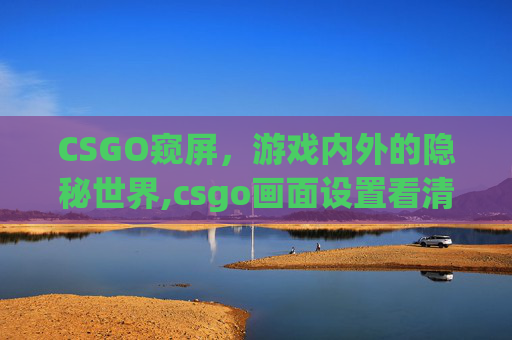 CSGO窥屏，游戏内外的隐秘世界,csgo画面设置看清敌人