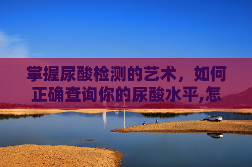 掌握尿酸检测的艺术，如何正确查询你的尿酸水平,怎么查尿酸高不高