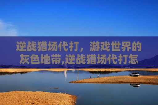 逆战猎场代打，游戏世界的灰色地带,逆战猎场代打怎么样