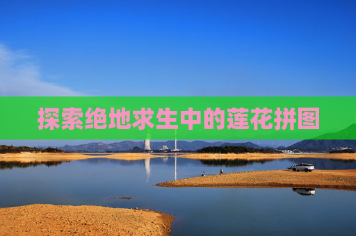 探索绝地求生中的莲花拼图