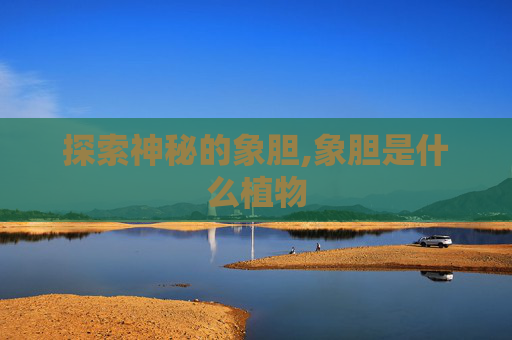 探索神秘的象胆,象胆是什么植物