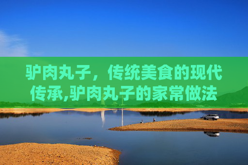 驴肉丸子，传统美食的现代传承,驴肉丸子的家常做法