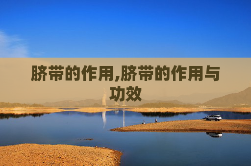 脐带的作用,脐带的作用与功效