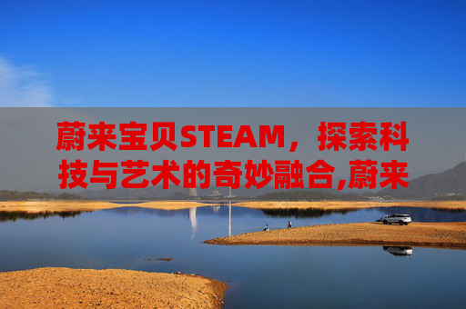 蔚来宝贝STEAM，探索科技与艺术的奇妙融合,蔚来宝贝晋江