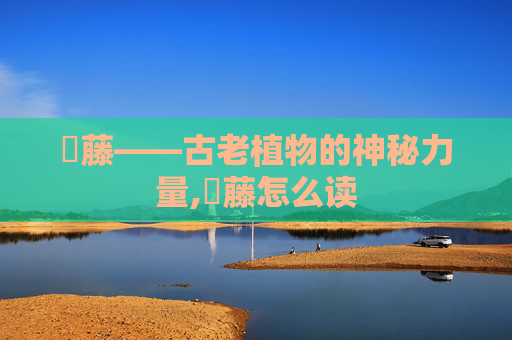 榼藤——古老植物的神秘力量,榼藤怎么读