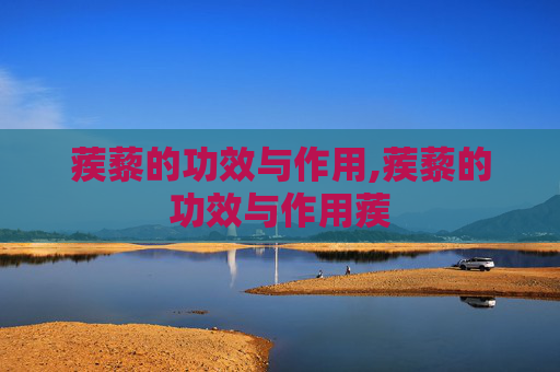 蒺藜的功效与作用,蒺藜的功效与作用蒺