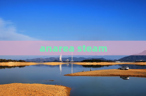 anarea steam