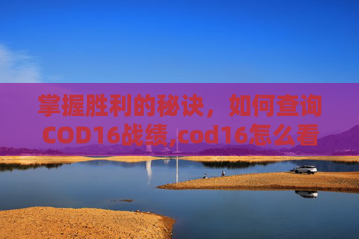掌握胜利的秘诀，如何查询COD16战绩,cod16怎么看历史战绩